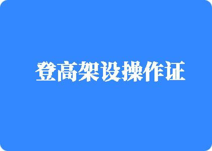 www.美女被操逼网址登高架设操作证