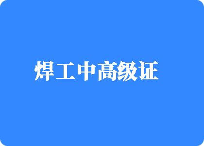 男女人逼网站免费视频焊工中高级证